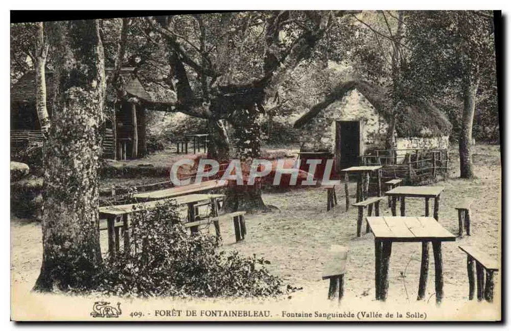 Forêt de Fontainebleau — Quelle Sanguinède (Tal der Solle) — n°409 - Vorderseite