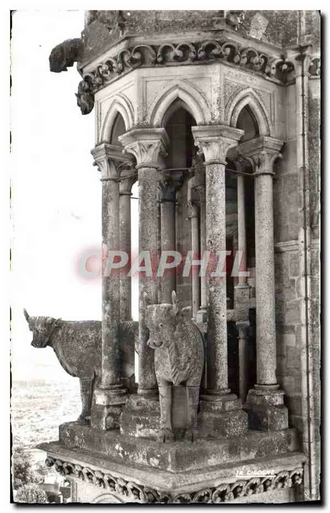 Os Bois da Catedral — Cigogne — Edições de Tollefrend, Reims - Frente