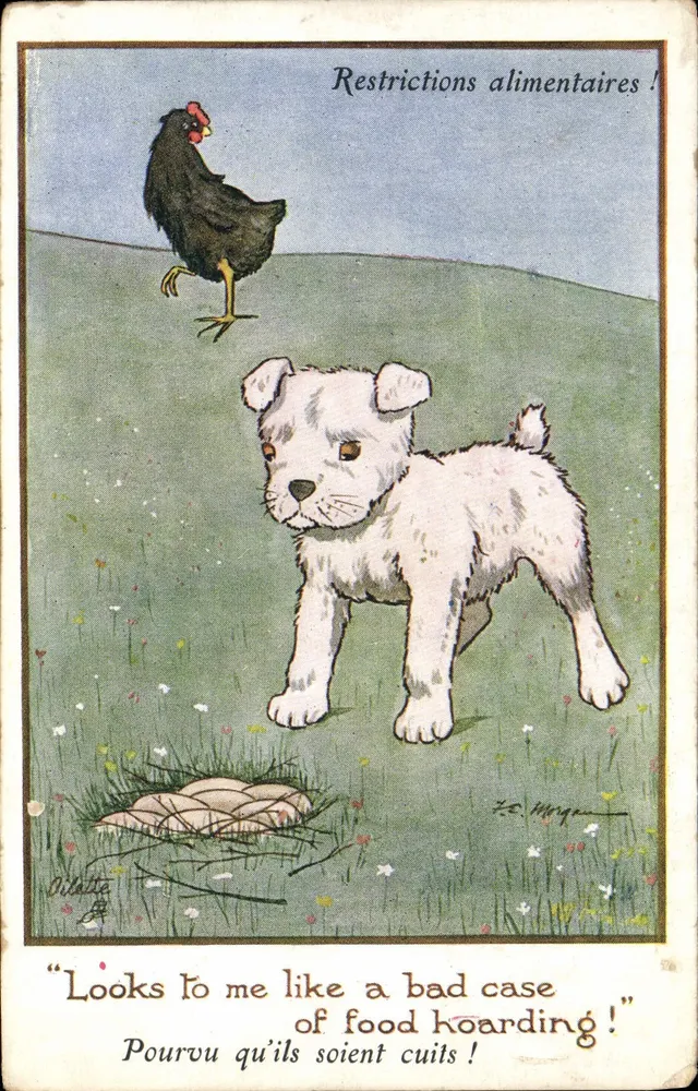 Cachorro e galinha — Restrições alimentares! — Tuck's Post Card, n°3124 - Frente