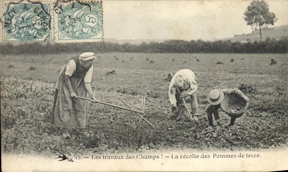Les travaux des Champs ! — La récolte des Pommes de terre — Serie 15 - Vorderseite