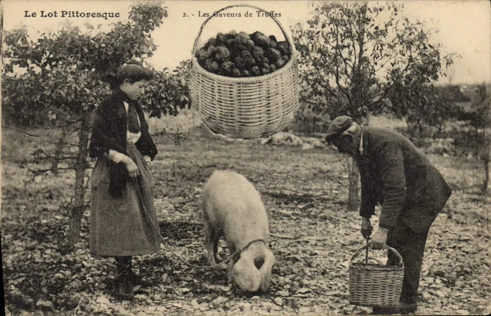 Die Trüffelsucher — Das pittoreske Lot — Verlag: Hingst & Cie, Cahors - Vorderseite