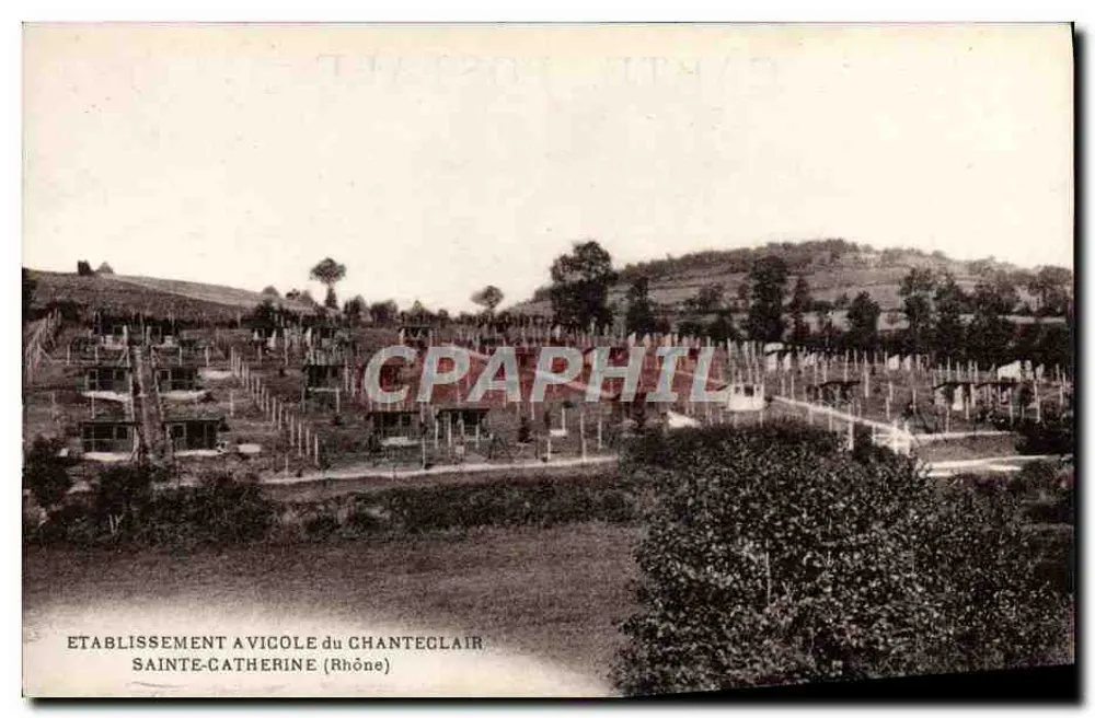 Hühnerfarm Sainte-Catherine — Chanteclair (Rhône) - Vorderseite