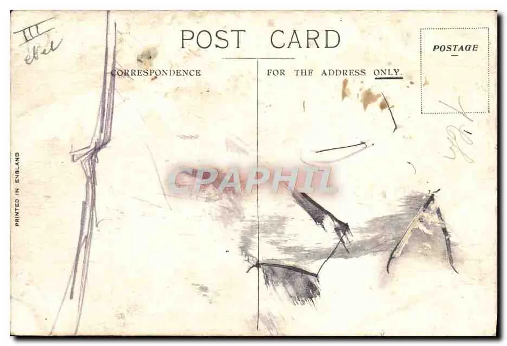 T.S.S. "Assyria" — Anchor Line — O. T. S. O'CONNOR - Rückseite
