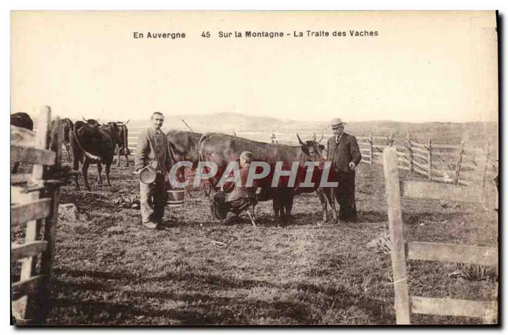 Em Auvergne — Na Montanha — A Tração das Vacas — Edição B. Laborie - Aurillac - Frente