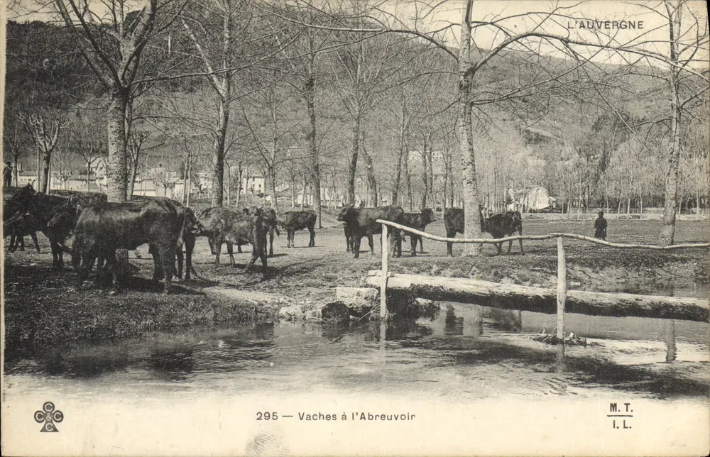 Vacas no Abreuvoir — L'Auvergne — M.T. I.L. n°295 - Frente