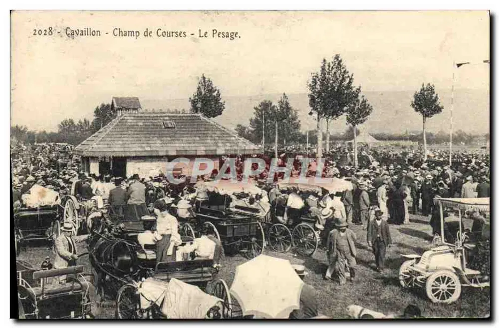 Cavaillon - Rennplatz - Das Wiegen. - Vorderseite