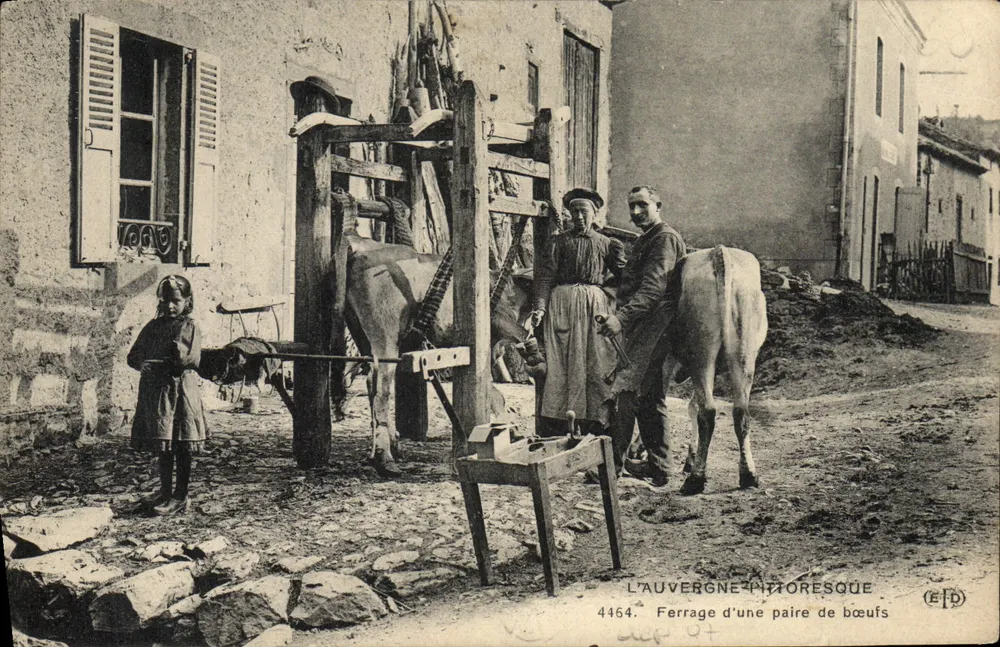 A Auvergne pitoresca — Ferragem de uma parelha de bois — EFD, n° 4464 - Frente