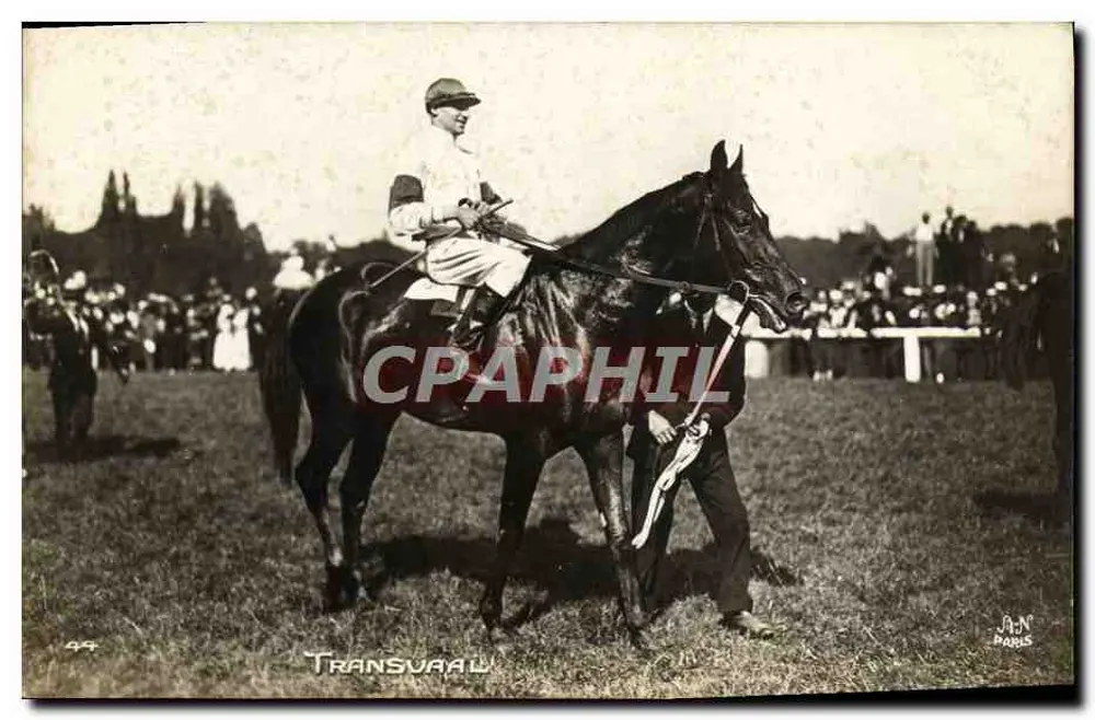 Transvaal — cavalo e jockey — editor A. N. Paris, n° 44 - Frente