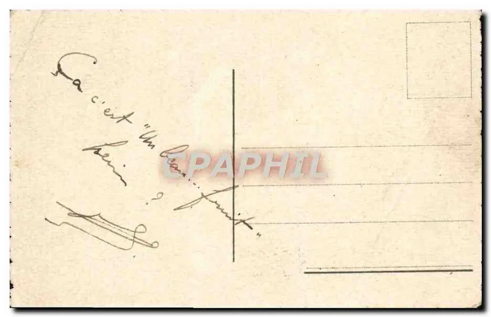 Pêches et poires — illustration botanique — éditeur non visible - Verso