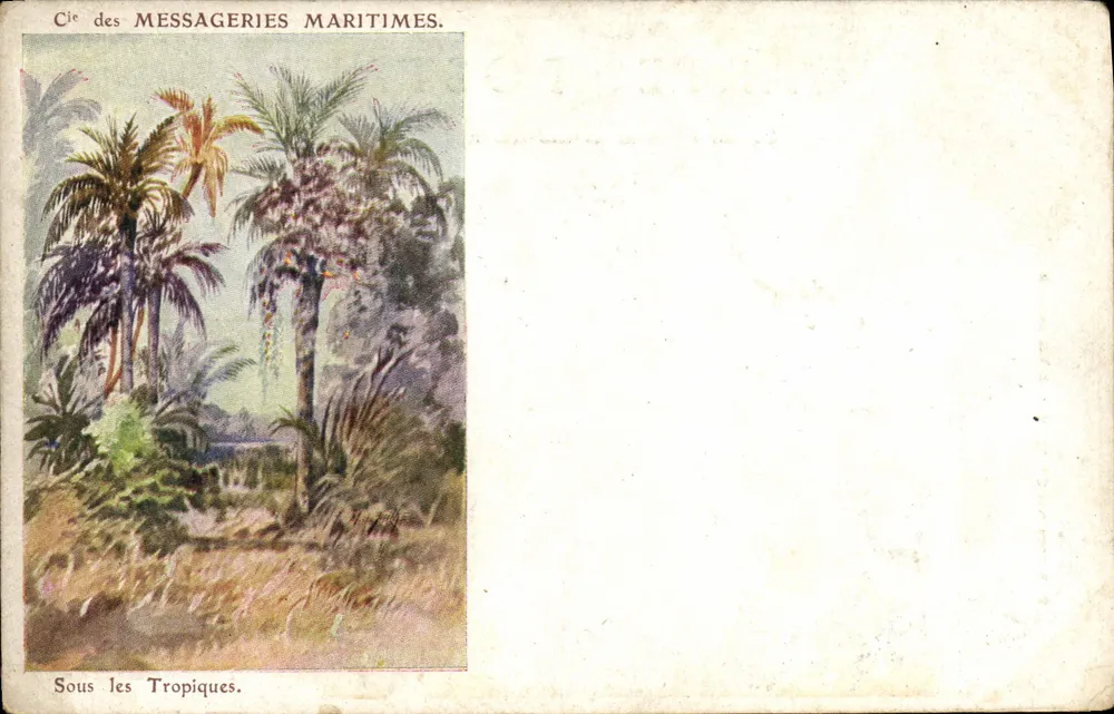 Unter den Tropen — Cie des Messageries Maritimes - Vorderseite