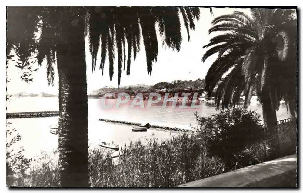 Beaulieu-sur-Mer — Blick auf das Meer und den Cap Ferrat — Collect. Riviera, 28, rue Marceau, Nice - Vorderseite