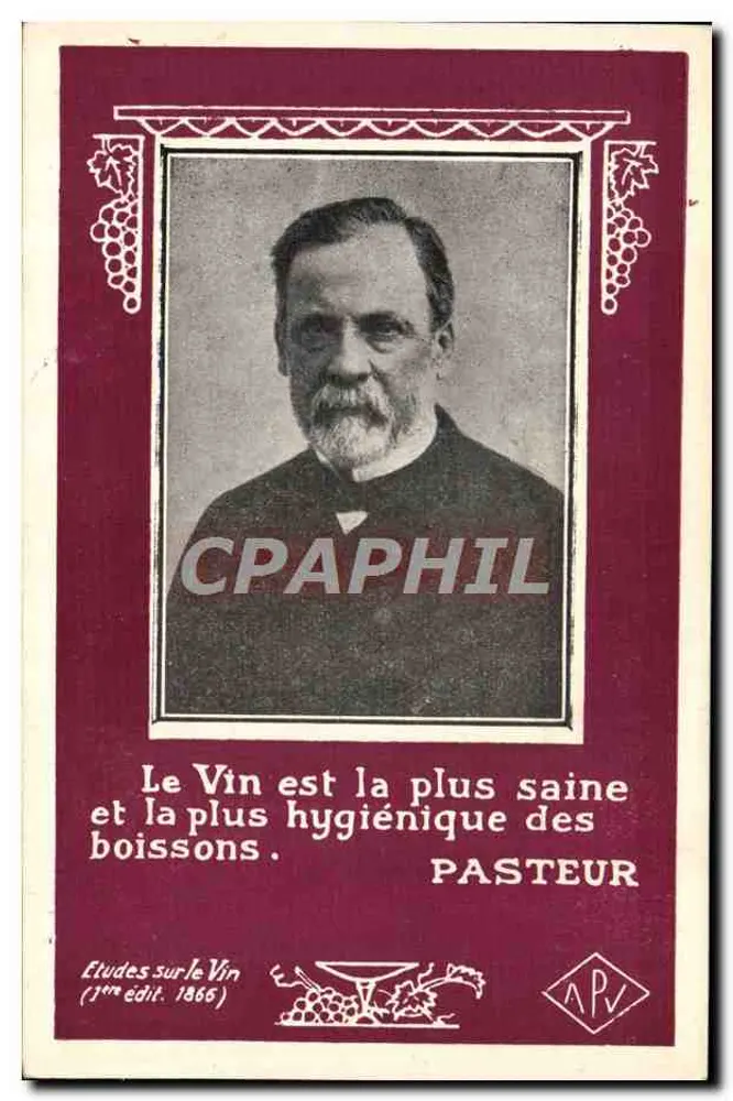Pasteur — O vinho é a bebida mais saudável e higiênica — APV, 1ª edição 1866 - Frente