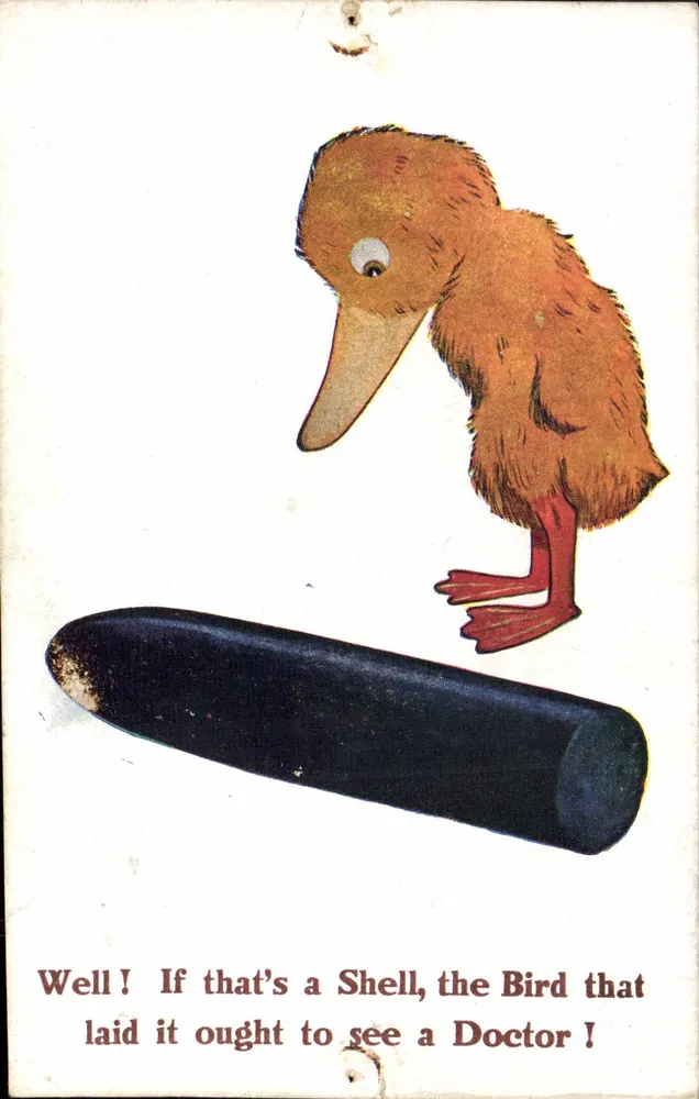 Exotisches Tier — Kiwi — Verlag E. Mack King Henry & Co. Hamstead, London - Vorderseite