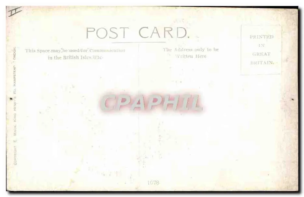 Exotisches Tier — Kiwi — Verlag E. Mack King Henry & Co. Hamstead, London - Rückseite