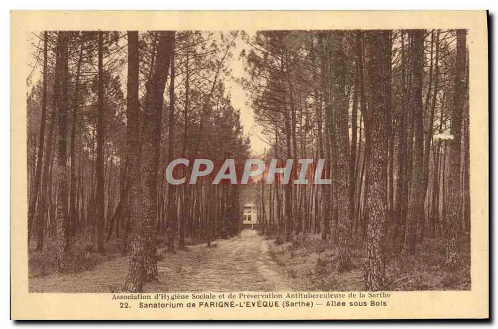 Sanatorium de Parigné-l'Évêque (Sarthe) — Allée sous Bois — Association d'Hygiène Sociale et de Préservation Antituberculeuse de la Sarthe - Vorderseite