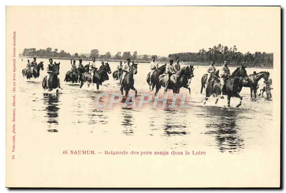Saumur — Pferderennen über die Loire — En. VORLCKEN, Foto, abgegeben, gesagt mit Apparat Guers-Ausshutz - Vorderseite