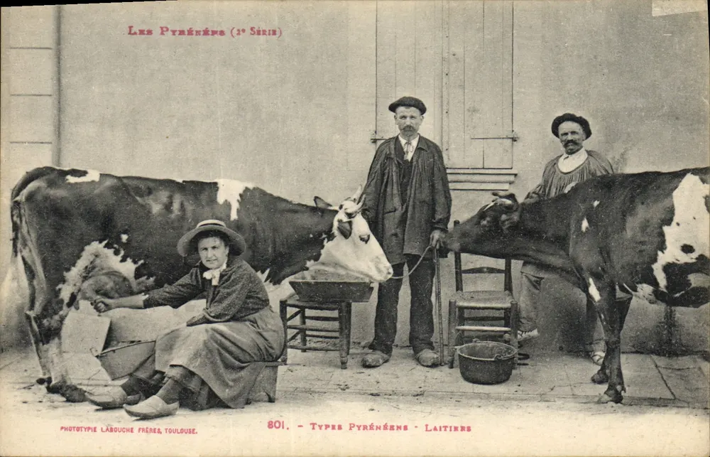 Tipos Pireneus - Laitiers — Fototipia Labouche Frères, Toulouse, n°801 - Frente