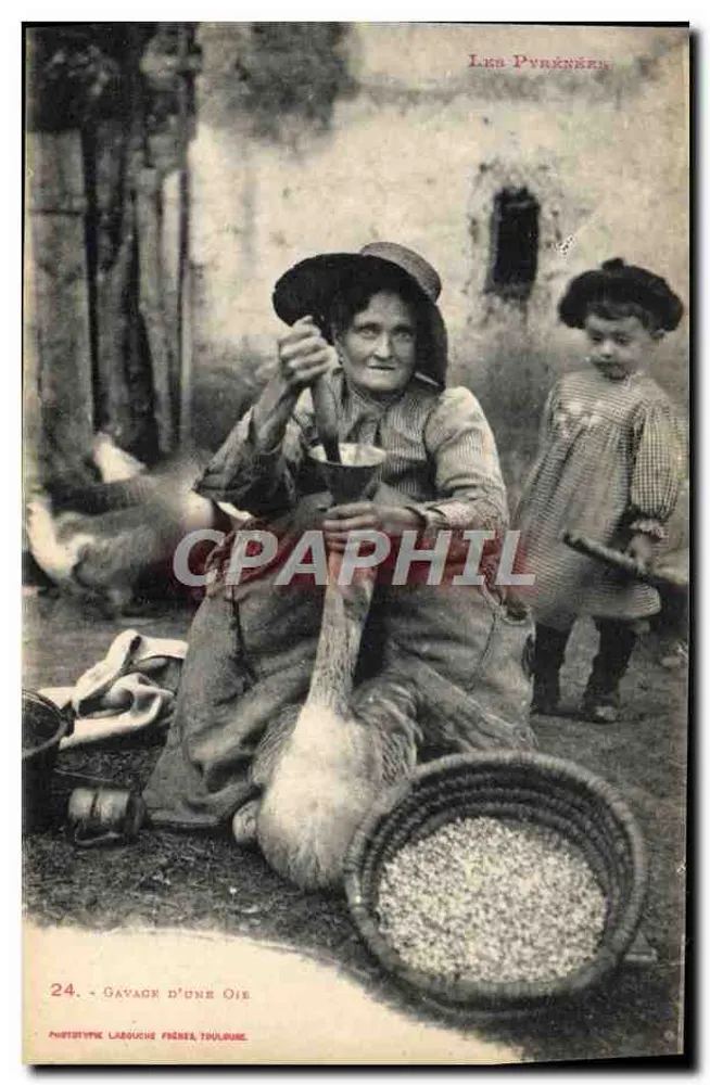 Gavagem de uma Ganso — Os Pirineus — Fototipo Labouche Frères, Toulouse - Frente