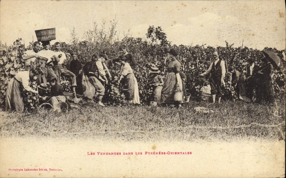 As Colheitas nas Pirinéus-Orientais — Fototipo Labouche frères, Toulouse - Frente