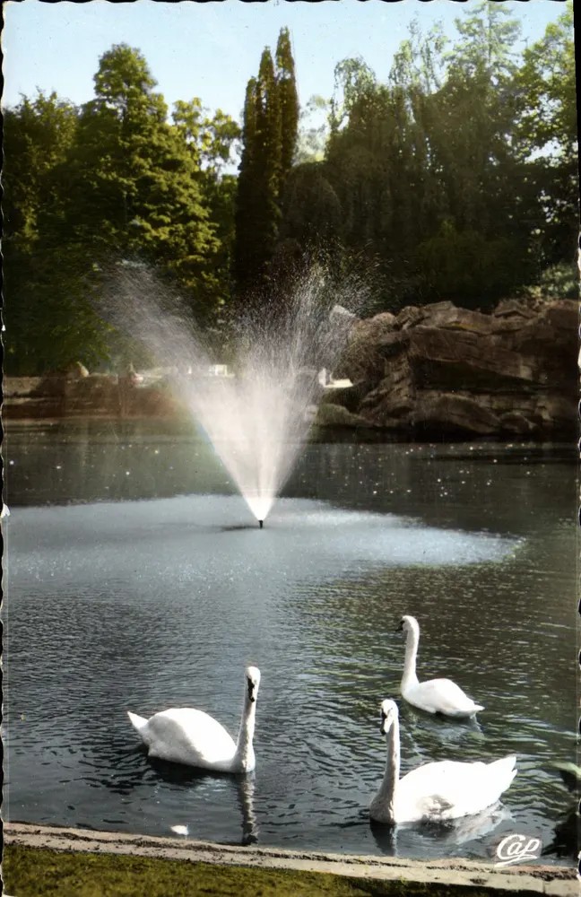 Valenciennes - Garten der Rhonelle, die Schwäne — Cap - Vorderseite