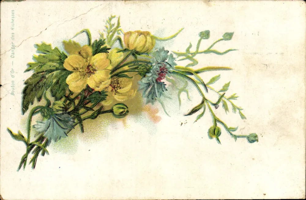 Bouquet de flores — BOUTON D'OR — DANGER DES RICHESSES — editor desconocido - Anverso