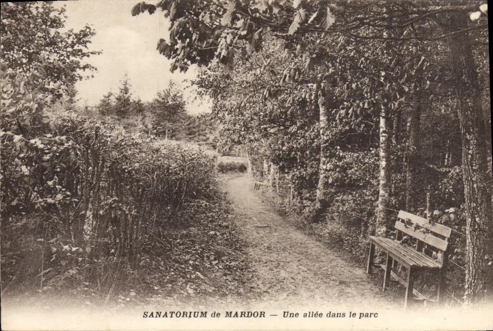 Sanatorium de Mardor — Une allée dans le parc - Frente