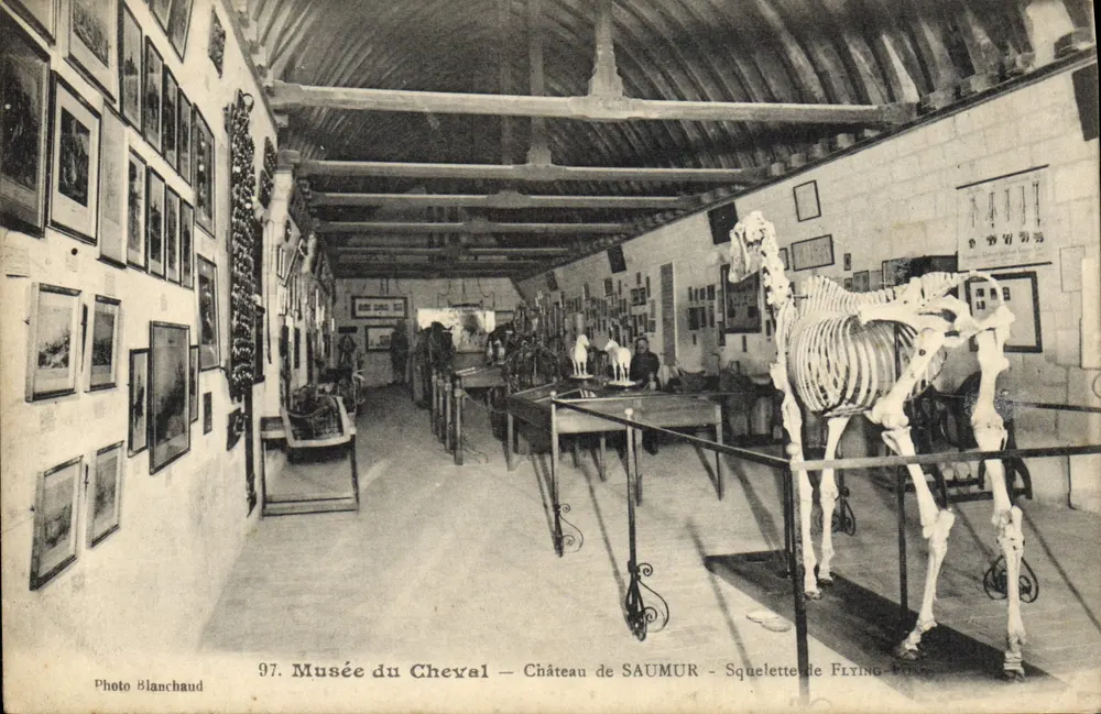 Pferdemuseum — Château de SAUMUR — Skelett von Flying-Pot - Vorderseite