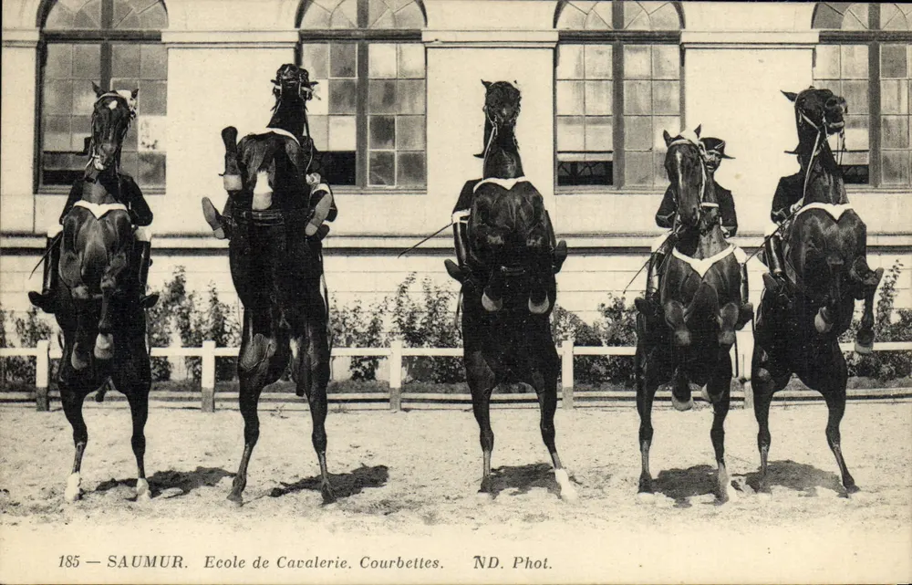 Saumur — Reitakademie. Courbettes — ND. Foto Nr. 185 - Vorderseite