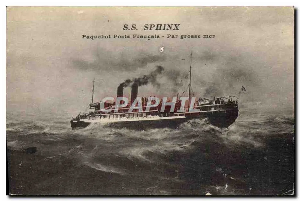 S.S. SPHINX — Postdampfer in der See — Verlag: S.S. SPHINX - Vorderseite