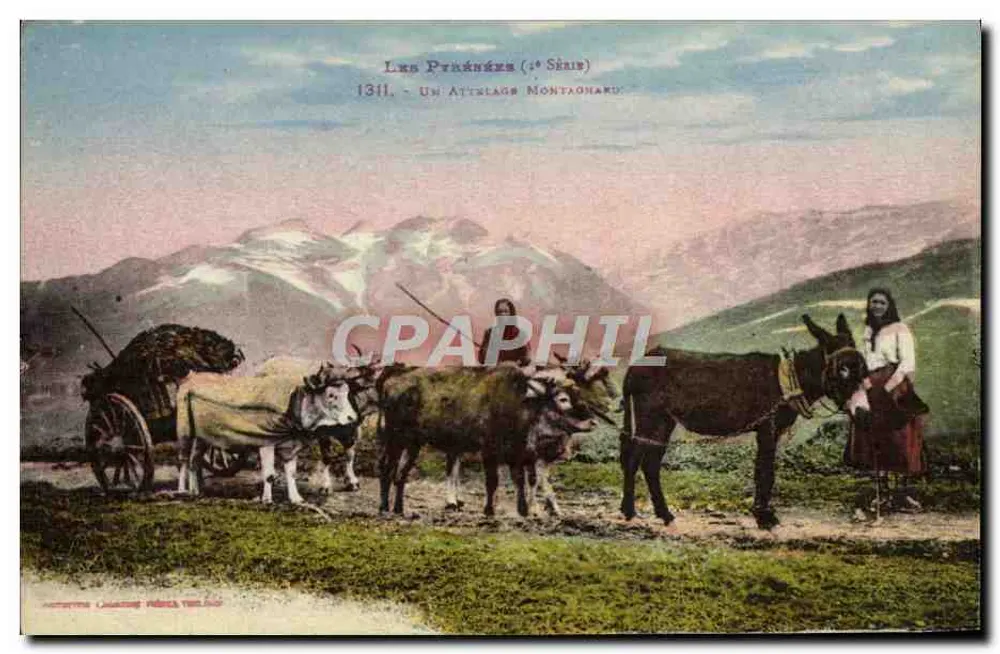 Die Préalpen (1. Serie) - 1311. Ein Bergwagenpferdegespann - Vorderseite