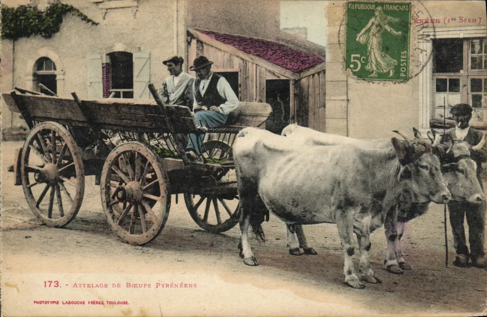 Carruagem Puxada por Búfalos Pirenéus — 173 — Fototipia Labouche Frères, Toulouse - Frente