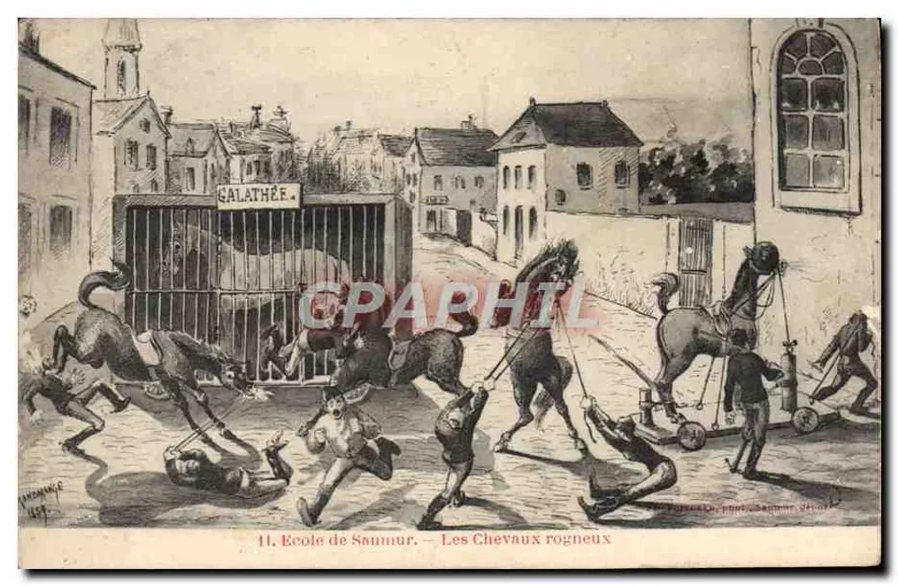 Schule von Saumur — Die ungezügelten Pferde — Verleger La Pêche, Saumur, Nr. 11 - Vorderseite