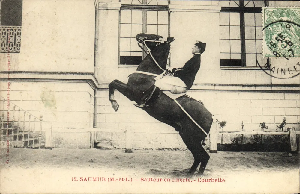 Saumur (M.-et-L.) — Freier Sprung — Curvet - Vorderseite