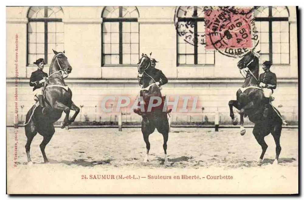 Saumur (M.-et-L.) — Springreiter in Freiheit — Courbette - Vorderseite