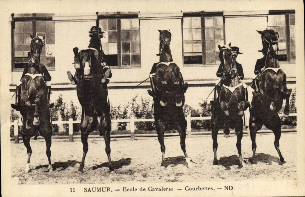Saumur — Schule der Kavallerie — Courbettes — ND. - Vorderseite