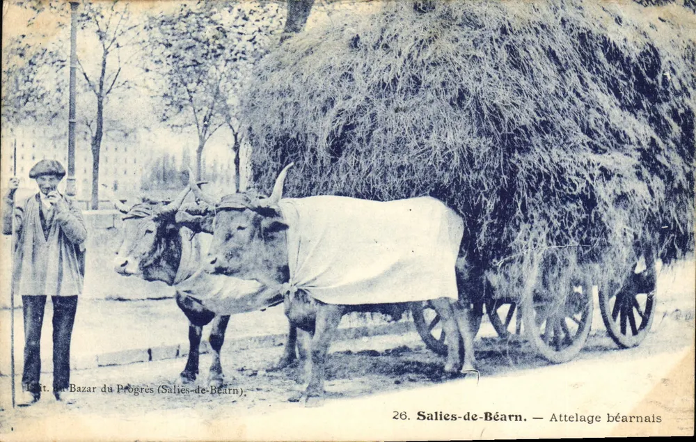 Salies-de-Béarn — Béarneser Wagen — Bazar du Progrès - Vorderseite