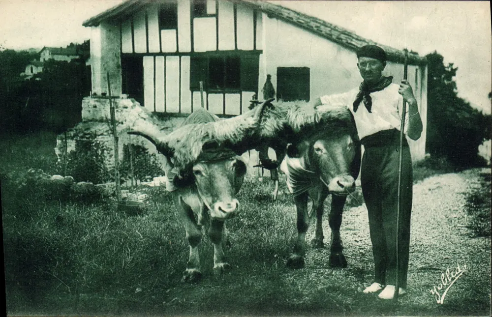Guéthary - País Basco — Os Bois Acessoriados — Fototipia Marcel Delbeau, Bordeaux - Frente