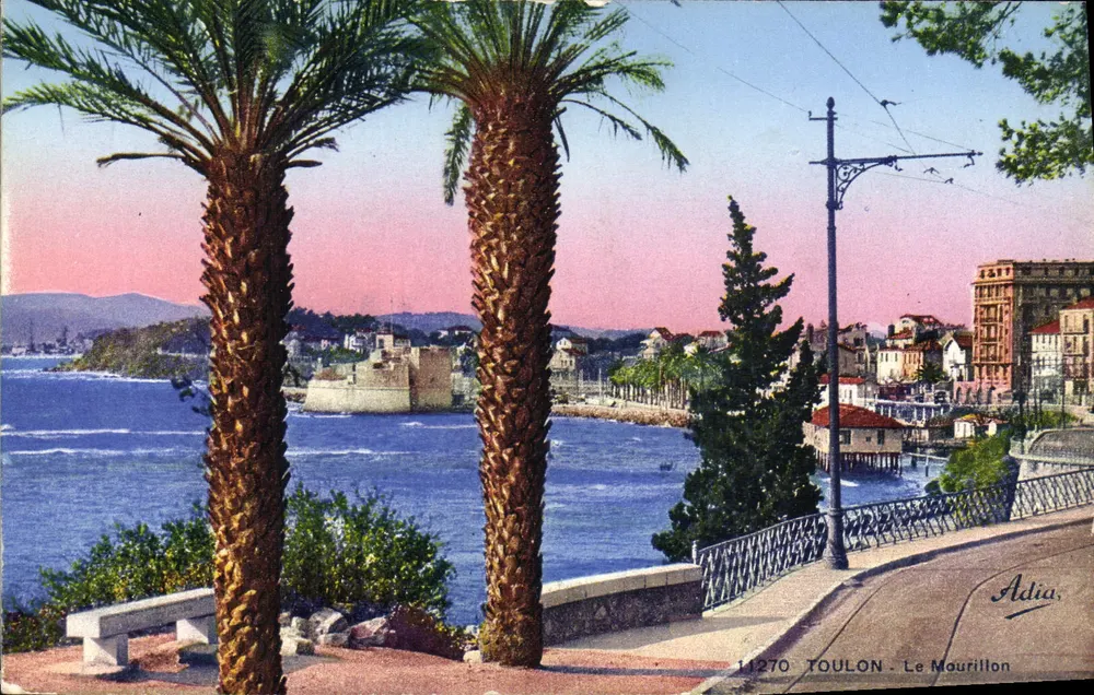 Toulon - Le Mourillon — vista panorâmica com palmeiras — Adia, n° 11270 - Frente
