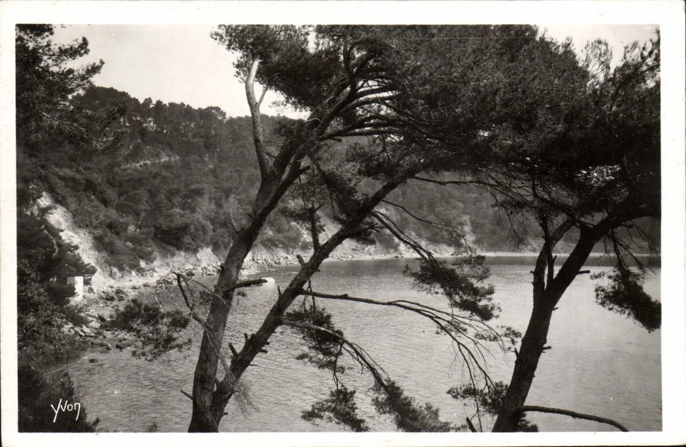 Anse du Magaud — Côte d'Azur — Éditions Yvon, Paris - Vorderseite