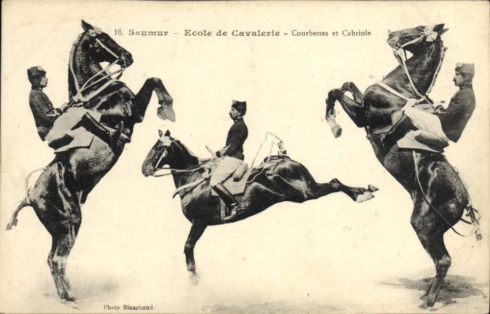 Saumur — Schule der Kavallerie — Courbettes und Cabriole — Foto Blanchaud - Vorderseite