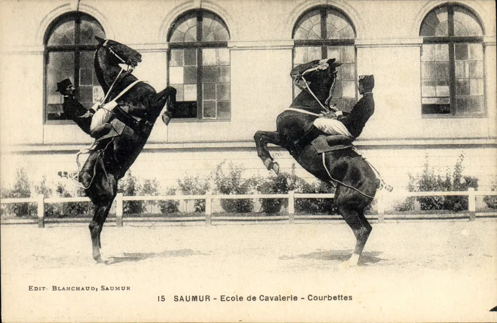 Saumur - Reitakademie - Courbettes — Edit. Blanchaud, Saumur, n°15 - Vorderseite