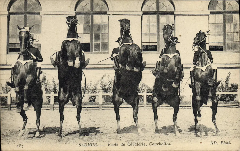 Saumur — Reitakademie, Courbettes — ND. Phot. - Vorderseite
