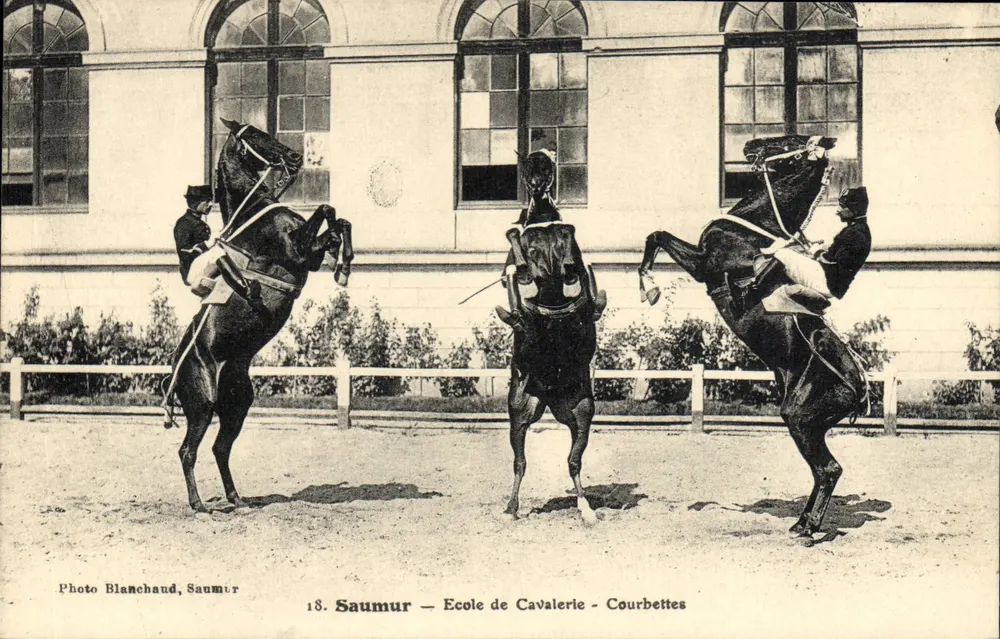 Saumur — Schule der Kavallerie — Courbettes — Foto Blanchaud, Saumur - Vorderseite