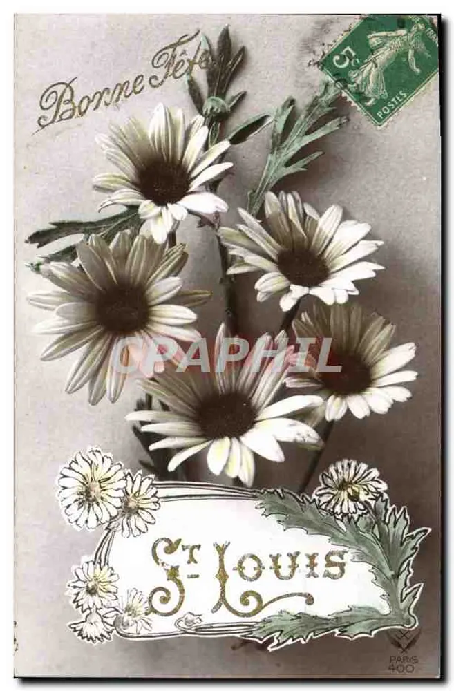 Kwiaty — Saint Louis — wydawca Paris 400 - Awers