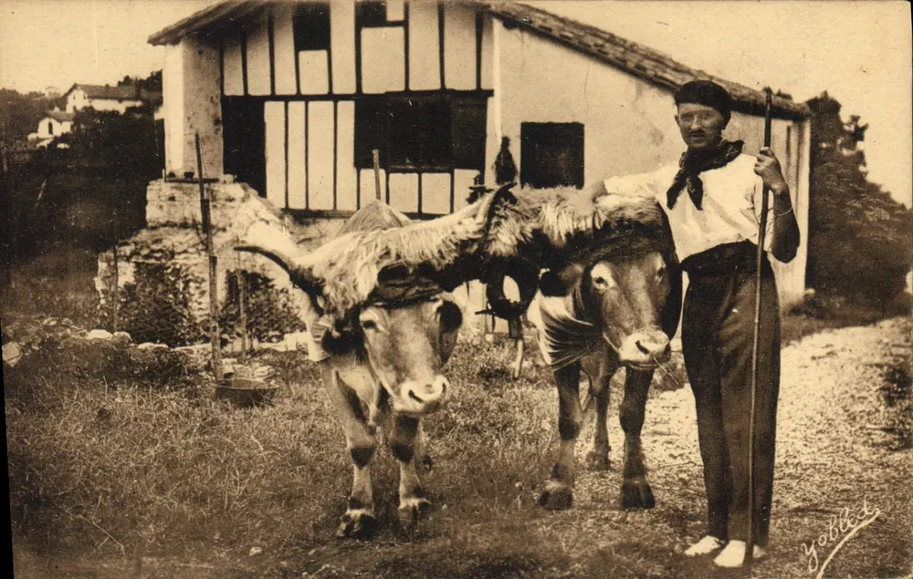 Guéthary - País Basco — Os Bois Cabeçudos — Fototipia Marcel Dalboy - Frente