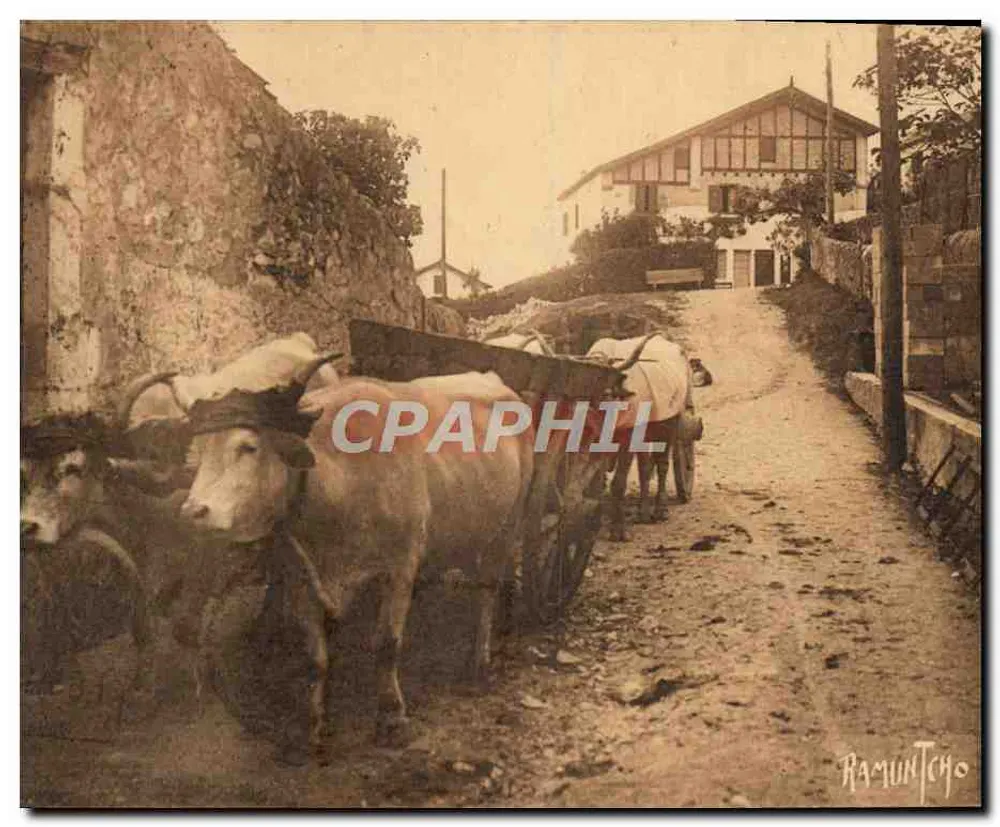 Vacas puxando um carrinho — rua de Sainte-Émilion — Ramuntcho - Frente