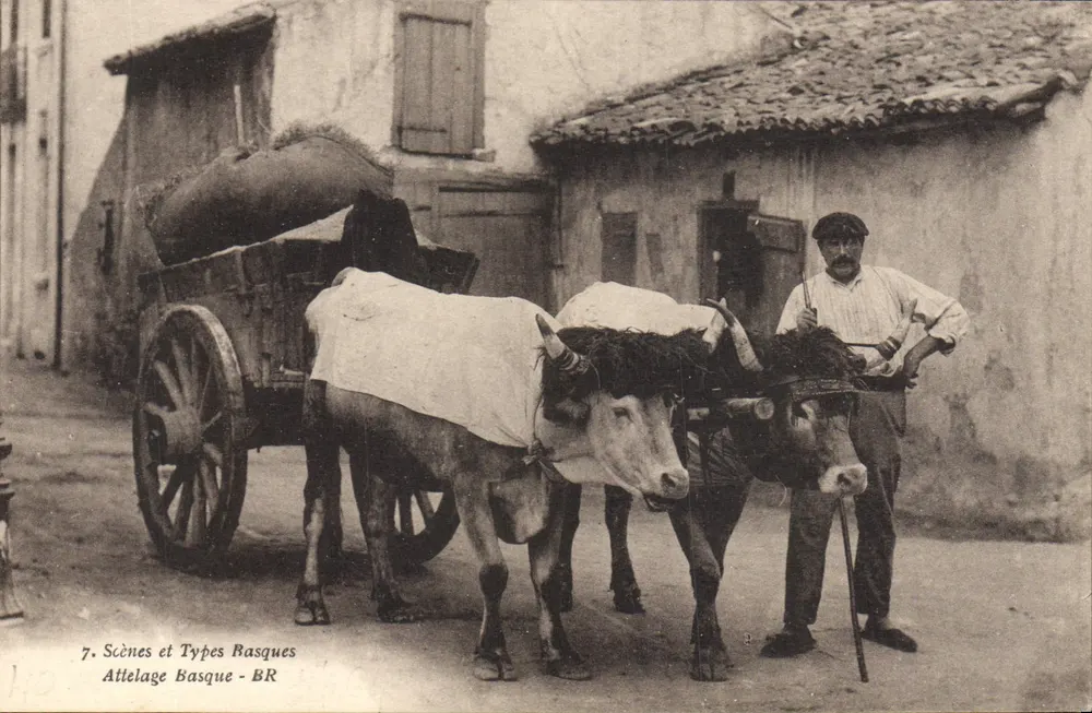 बास्क गाड़ी — बास्क दृश्य और प्रकार — बीआर - आगे