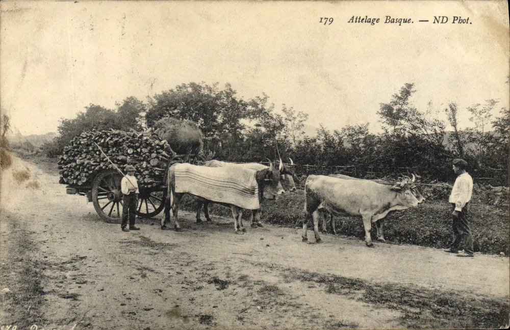 Attelage Basque — attelage de bovins tirant une charrette chargée de bois — ND Phot. n°1779 - Frente