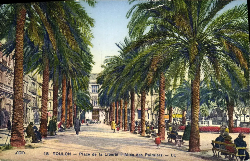 Toulon — Place der Freiheit — Avenue der Palmen — ADIA 18 - Vorderseite