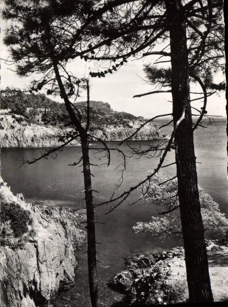 La Corniche d'Or — Playa en Le Trayas — L. GILLET & Cie, Fotógrafo — N° 353 - Anverso